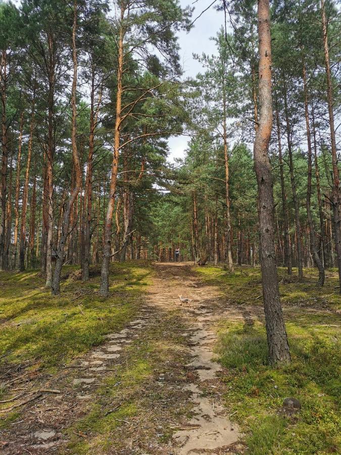 Lesniczowka Villa Rzadza Luaran gambar