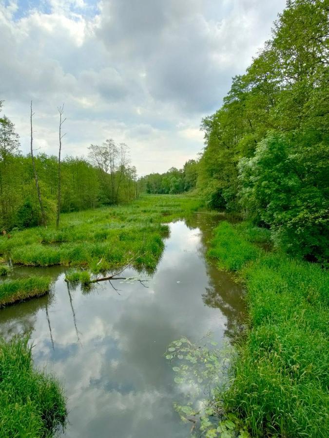 Lesniczowka Villa Rzadza Luaran gambar