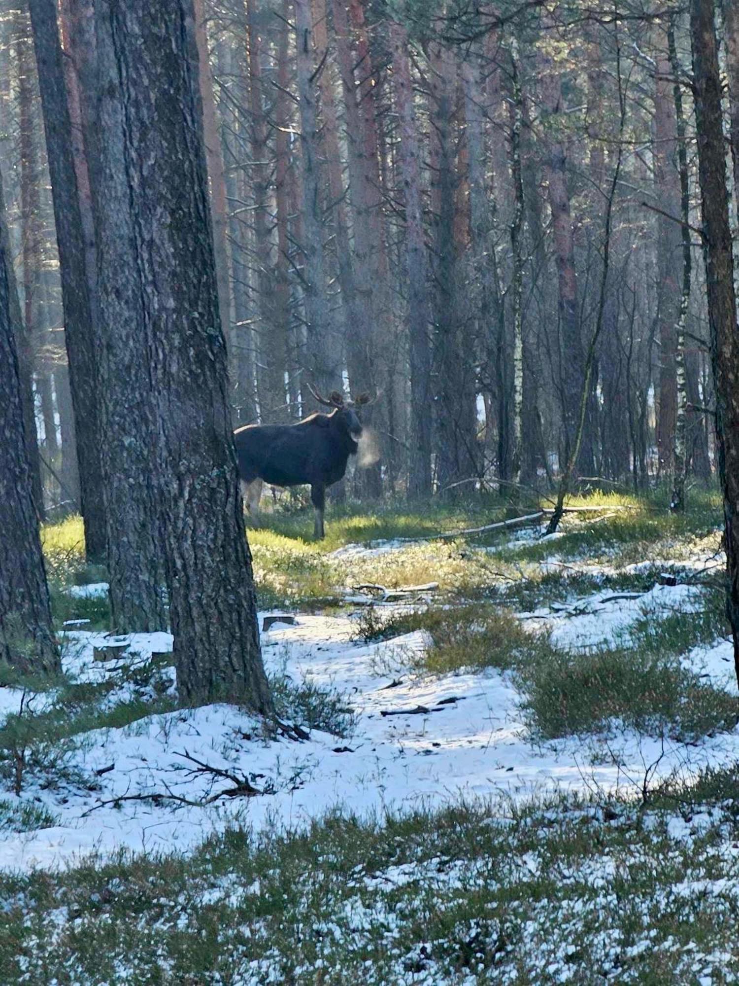 Lesniczowka Villa Rzadza Luaran gambar