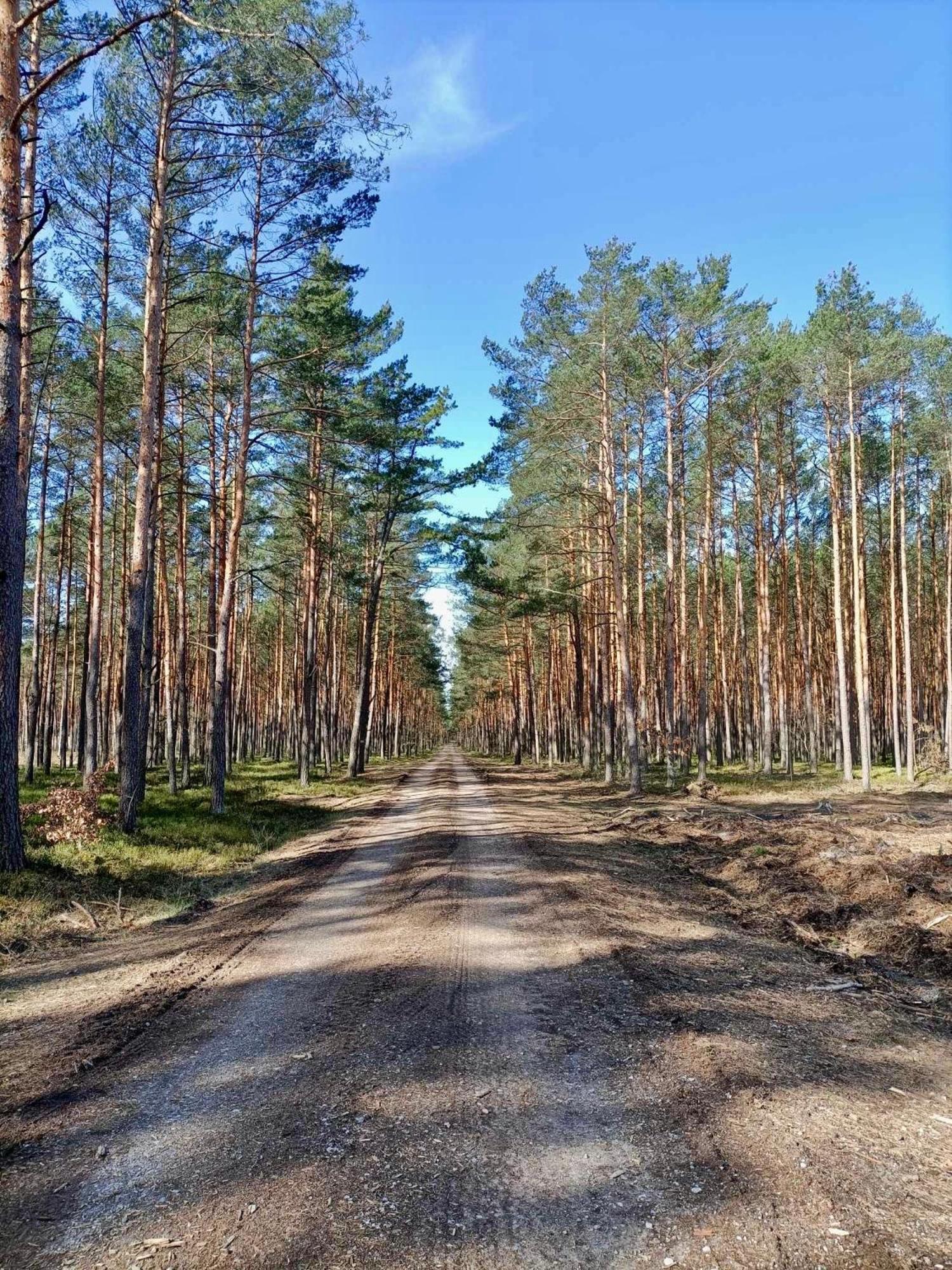 Lesniczowka Villa Rzadza Luaran gambar