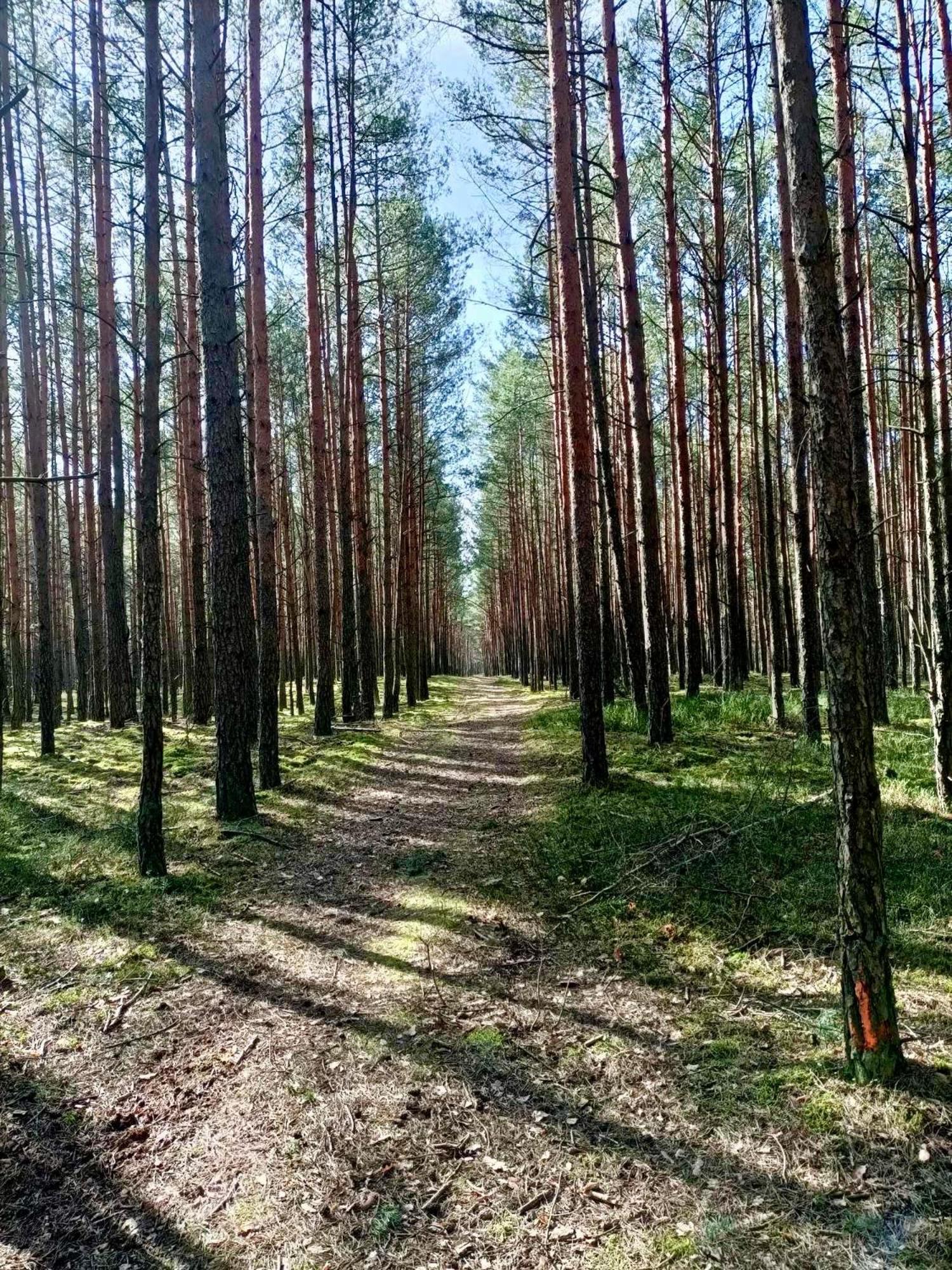 Lesniczowka Villa Rzadza Luaran gambar